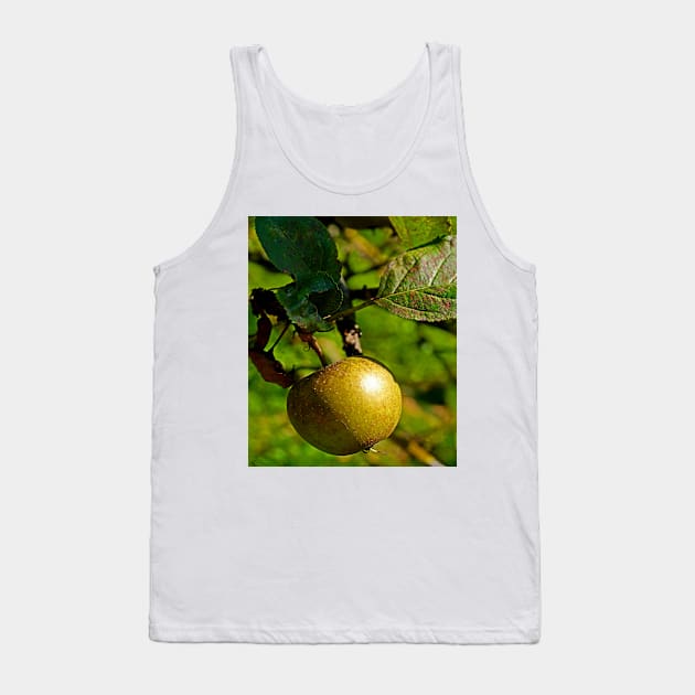 hanging apple Tank Top by crefot